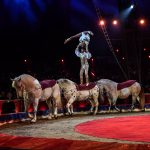 Richter Jzsef s Marrylu 4